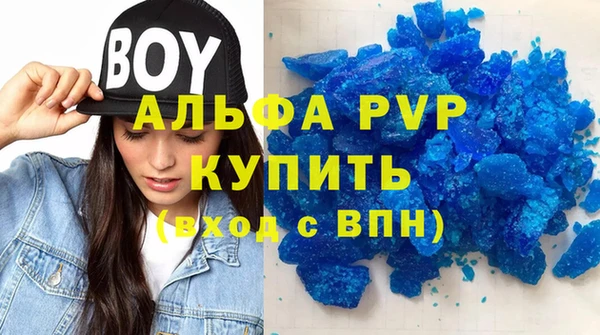 амф Вяземский