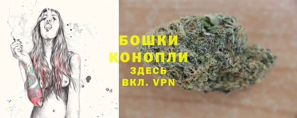 амф Вяземский