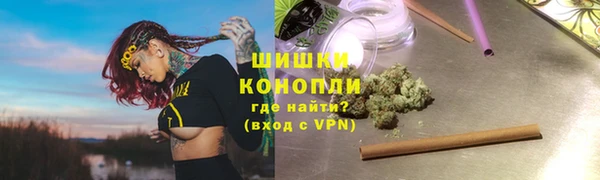 амф Вяземский