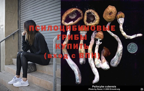 a pvp Вязьма