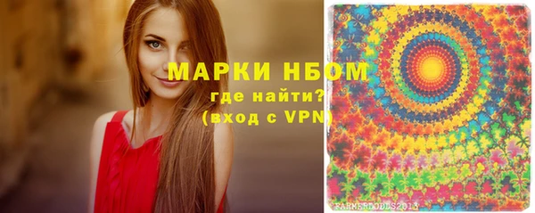 амф Вяземский